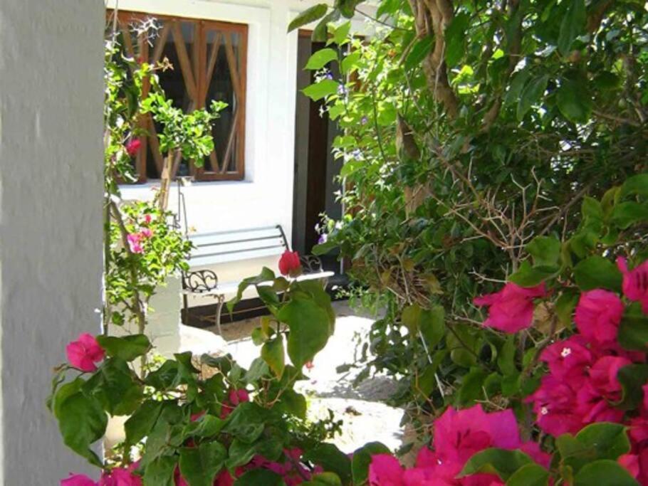 Alternative Space B & B Swakopmund Εξωτερικό φωτογραφία