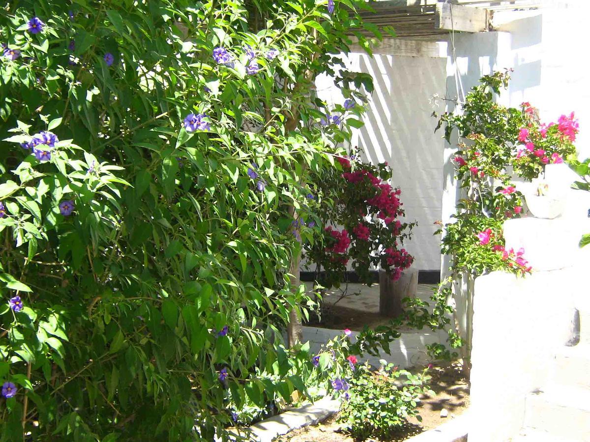 Alternative Space B & B Swakopmund Εξωτερικό φωτογραφία
